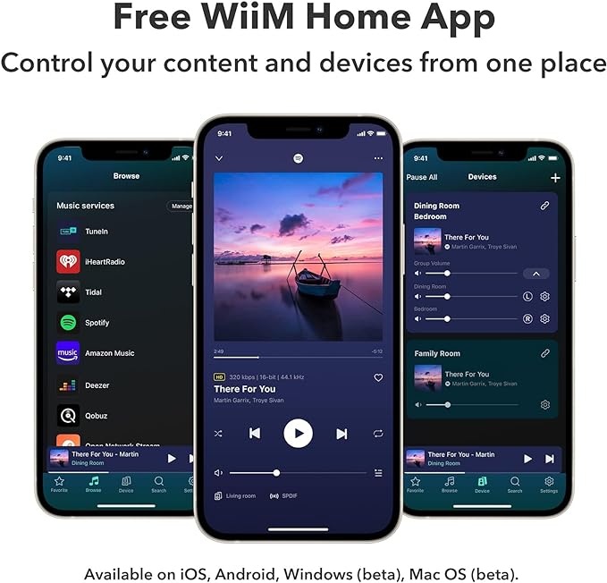 WiiM Pro AirPlay 2 Receiver, Chromecast Audio, WiFi Multiroom Streamer, Compatible with Alexa, Siri and Google Assistant, Stream Hi-Res Audio from Spotify, Amazon Music, Tidal and More